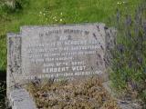 image of grave number 954013